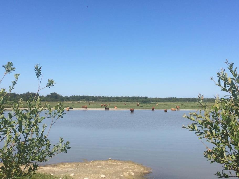 Superbe Studio Au Crotoy Acces Direct Plage Le Crotoy Zewnętrze zdjęcie