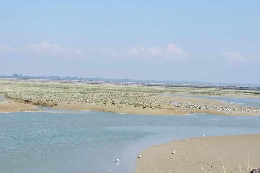 Superbe Studio Au Crotoy Acces Direct Plage Le Crotoy Zewnętrze zdjęcie